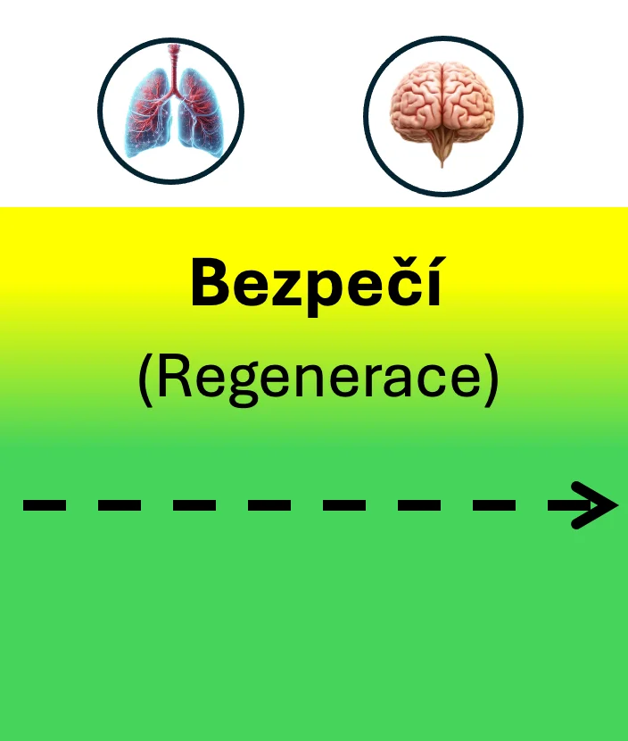 Nastartujeme regeneraci