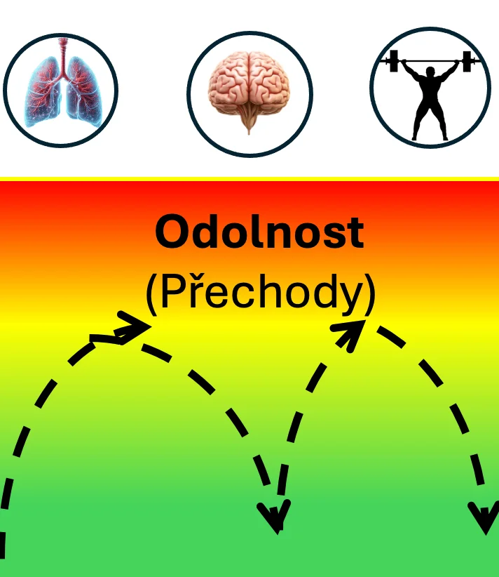 Vybudujeme odolnost